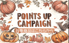 �ݥ���ȥ��åץ����ڡ���