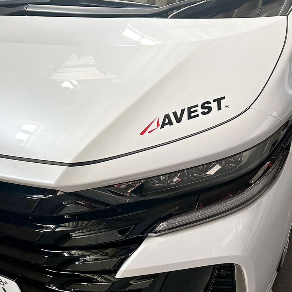 AVEST ������ ���åƥ��� ���ƥå���/������ ��25cm