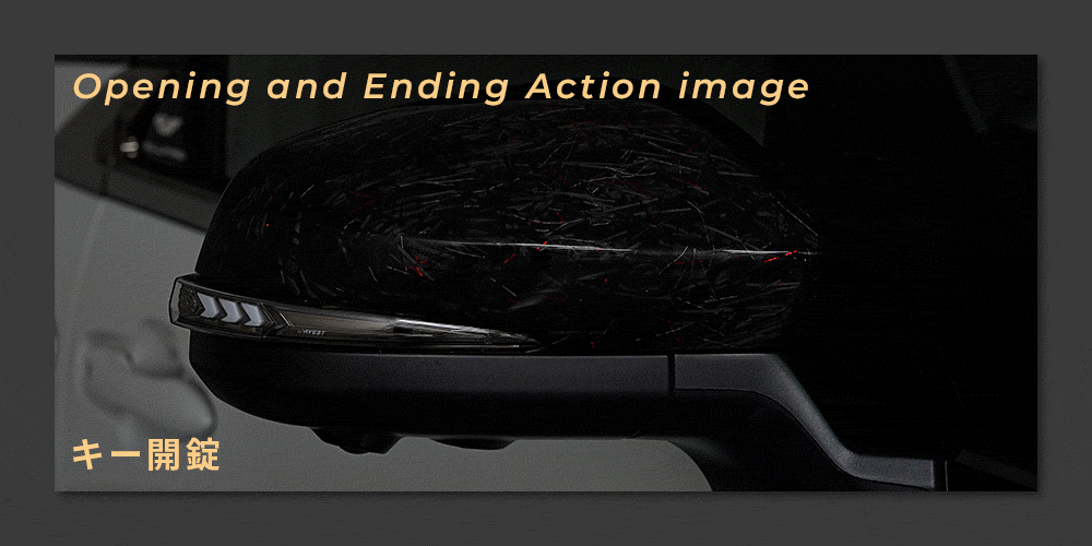 Verical Arrow ドアミラーウインカー&カバー