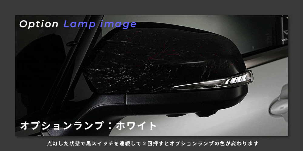 Verical Arrow ドアミラーウインカー&カバー