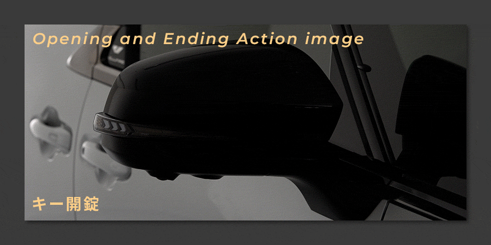 Vertical Arrow Typeα] アルファード ヴェルファイア 40系 流れる