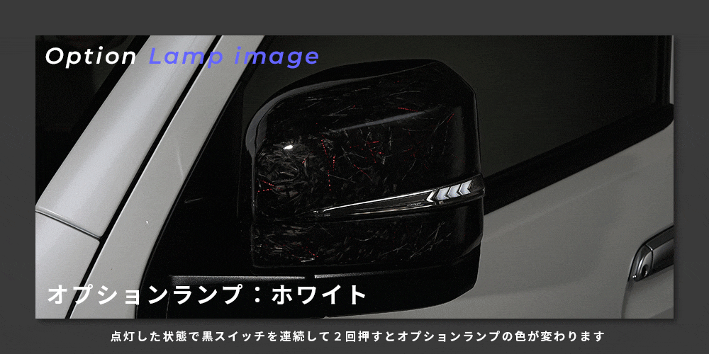 Verical Arrow ドアミラーウインカー&カバー