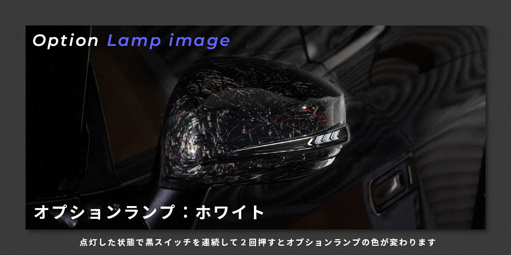 Verical Arrow ドアミラーウインカー&カバー