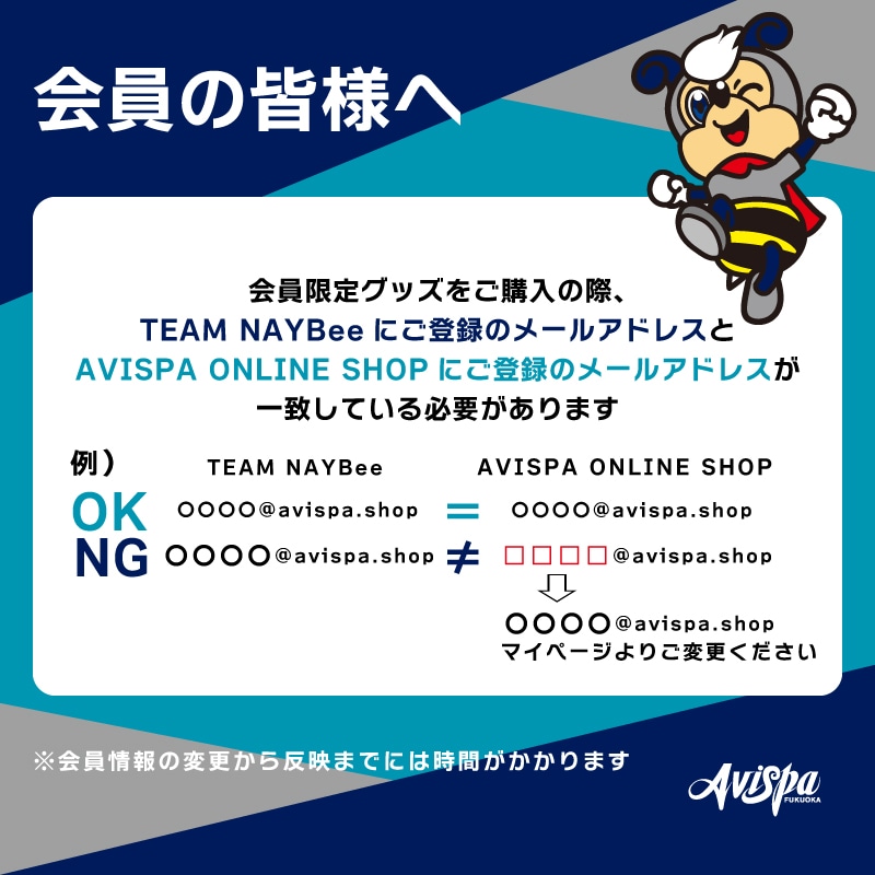 TEAM NAYBee限定グッズのご案内
