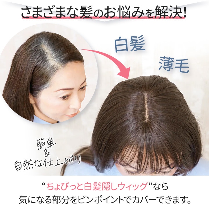 即納☆【Z3366】ちょびっと白髪隠しウィッグ
