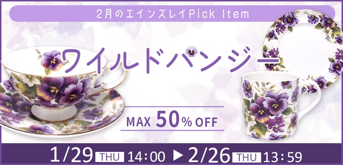 �磻��ɥѥ󥸡�