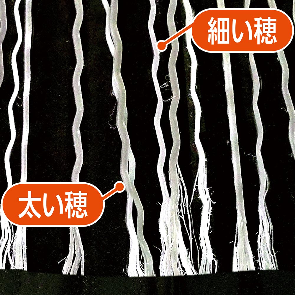 BR453化繊ほうき柔穂長柄