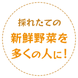 採れたての新鮮野菜を多くの人に！