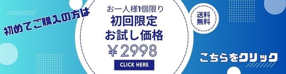 初回限定購入ページ
