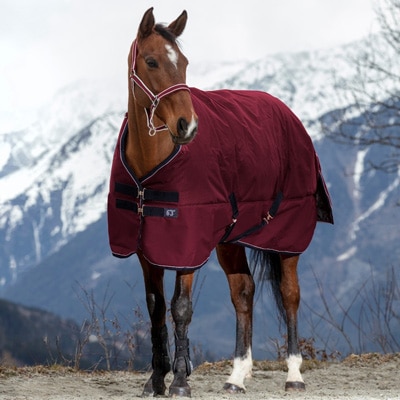 新品キングスランド  馬着 中馬着 フリーサイズ 乗馬用品 ハフリンガーMAX |乗馬用品・馬具のオンラインショップ 馬着