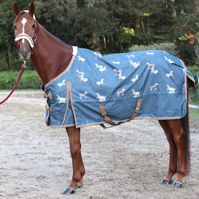 乗馬用品 ハフリンガーMAX |乗馬用品・馬具のネットショップ 馬着コーナー