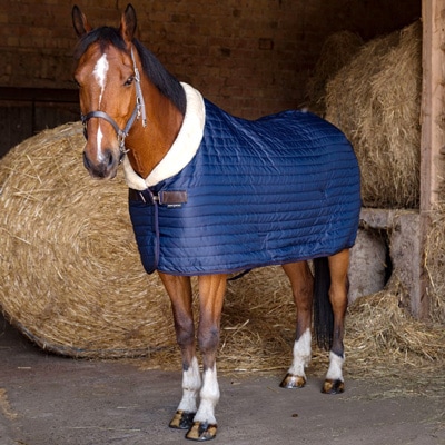 乗馬用品 ハフリンガーMAX |乗馬用品・馬具のネットショップ 馬着コーナー