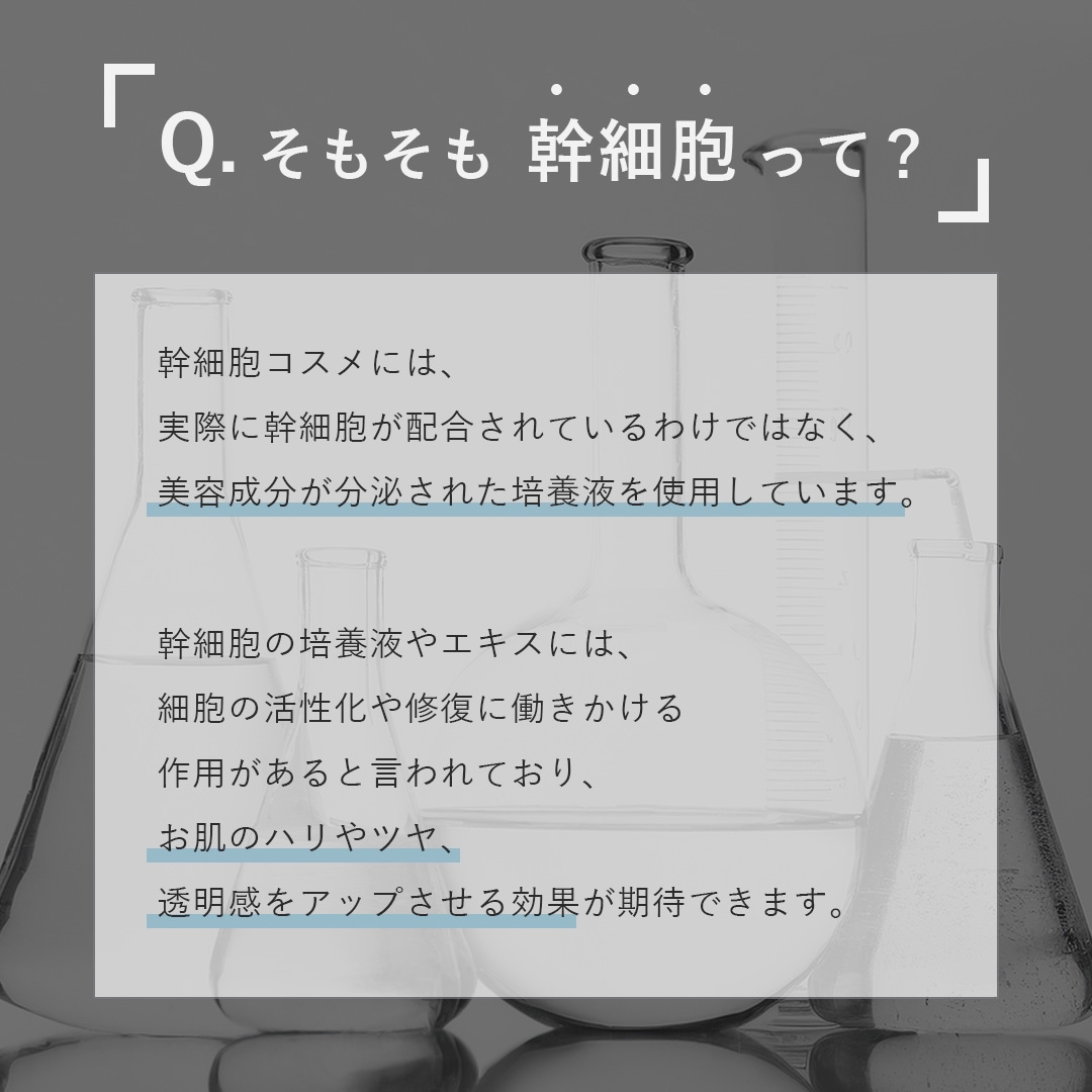 幹細胞って？