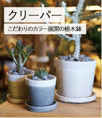 バージ(BARGE) アガス ラブカ ボウルM13号ラスティブラック 受け皿付き 楽天市場】 OUTDOOR 鉢シリーズ > アガス : 植木鉢・テラコッタ