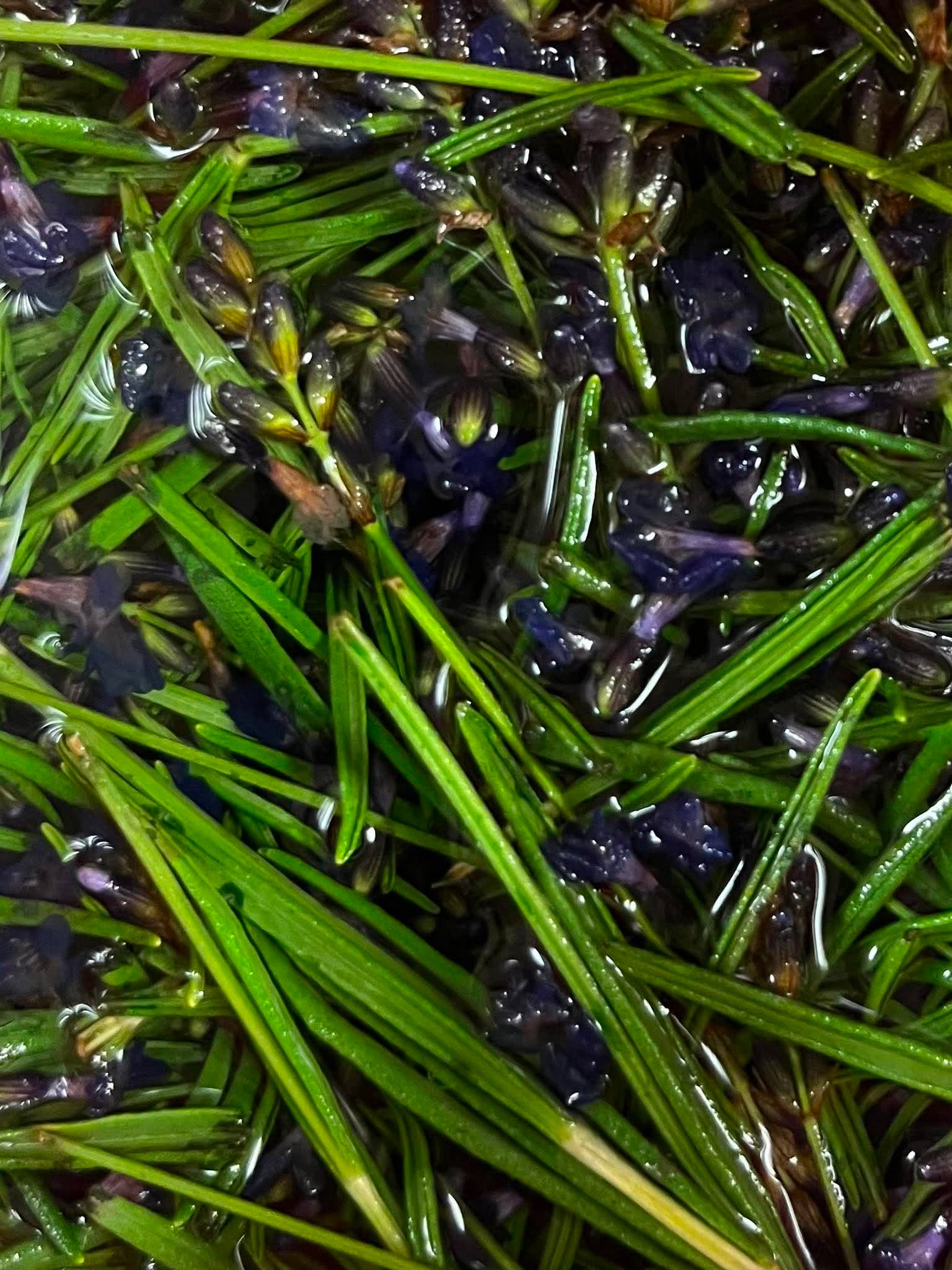 ラベンダー漬け込み
