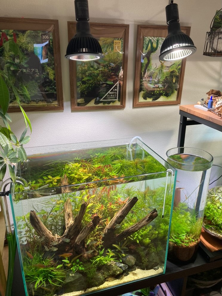 植物育成ライト専門店BARREL公式サイト