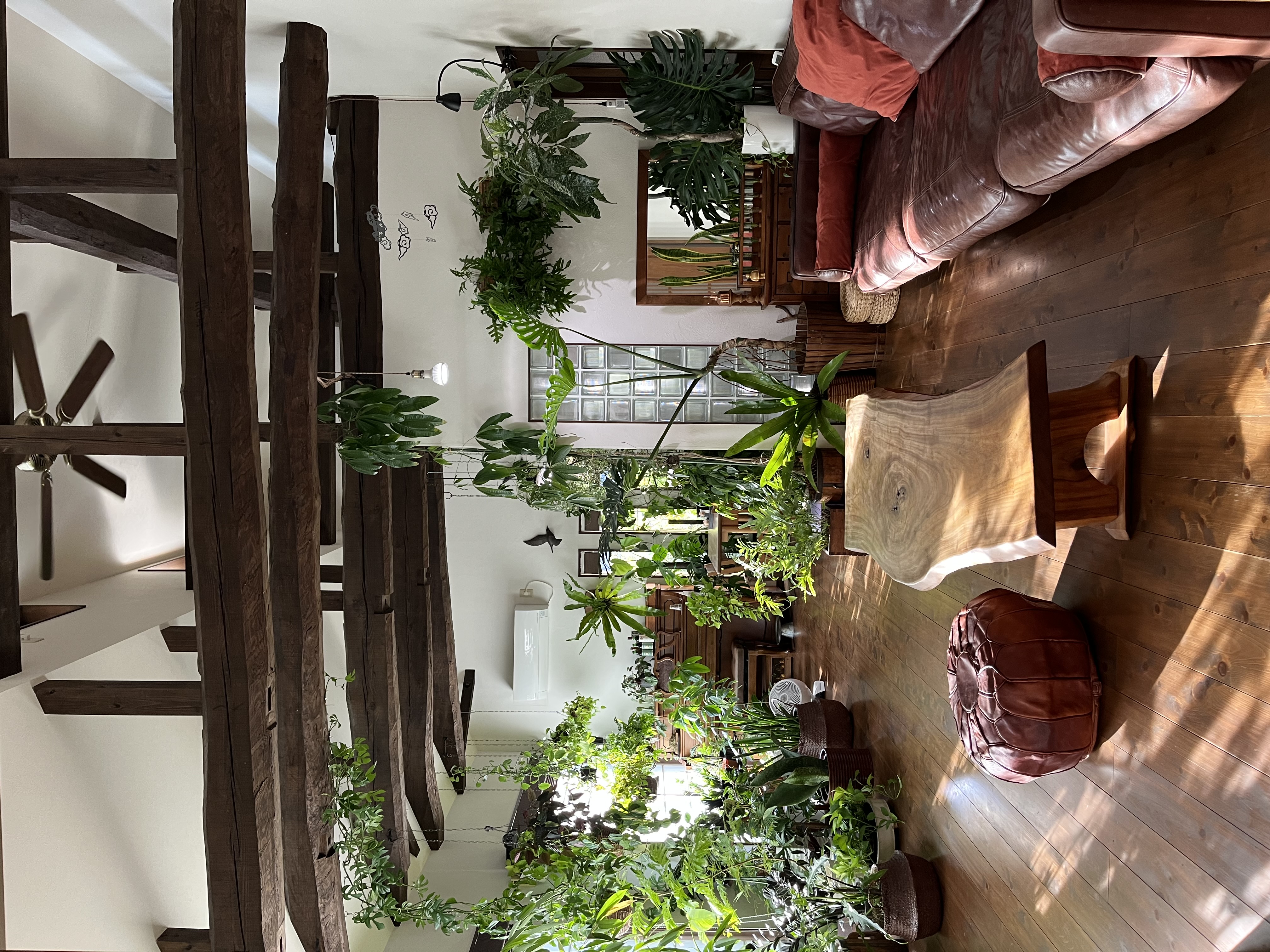 植物育成ライト　サーキュレーター Amazon | STGGTS 植物育成用 植物用送風機 植物用