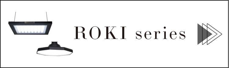 ROKI