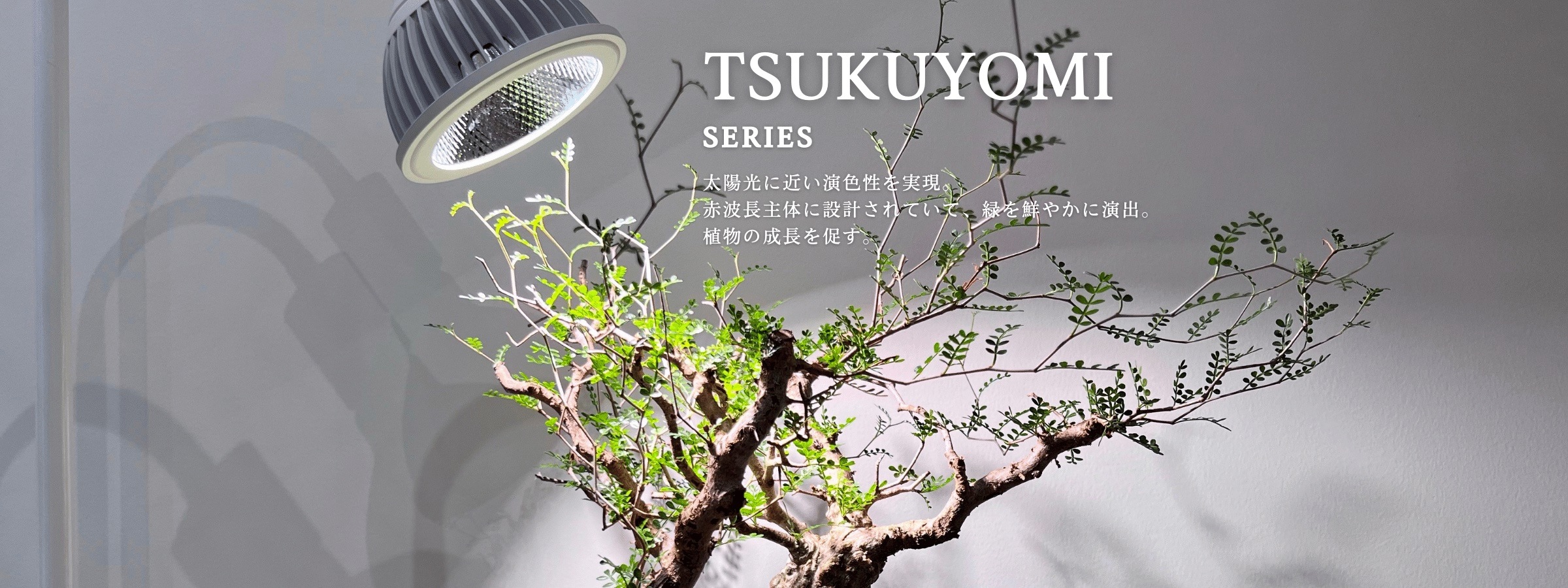 植物育成ライト 専門店 Barrel 公式サイト 植物育成ライト 専門店 Barrel 公式サイト