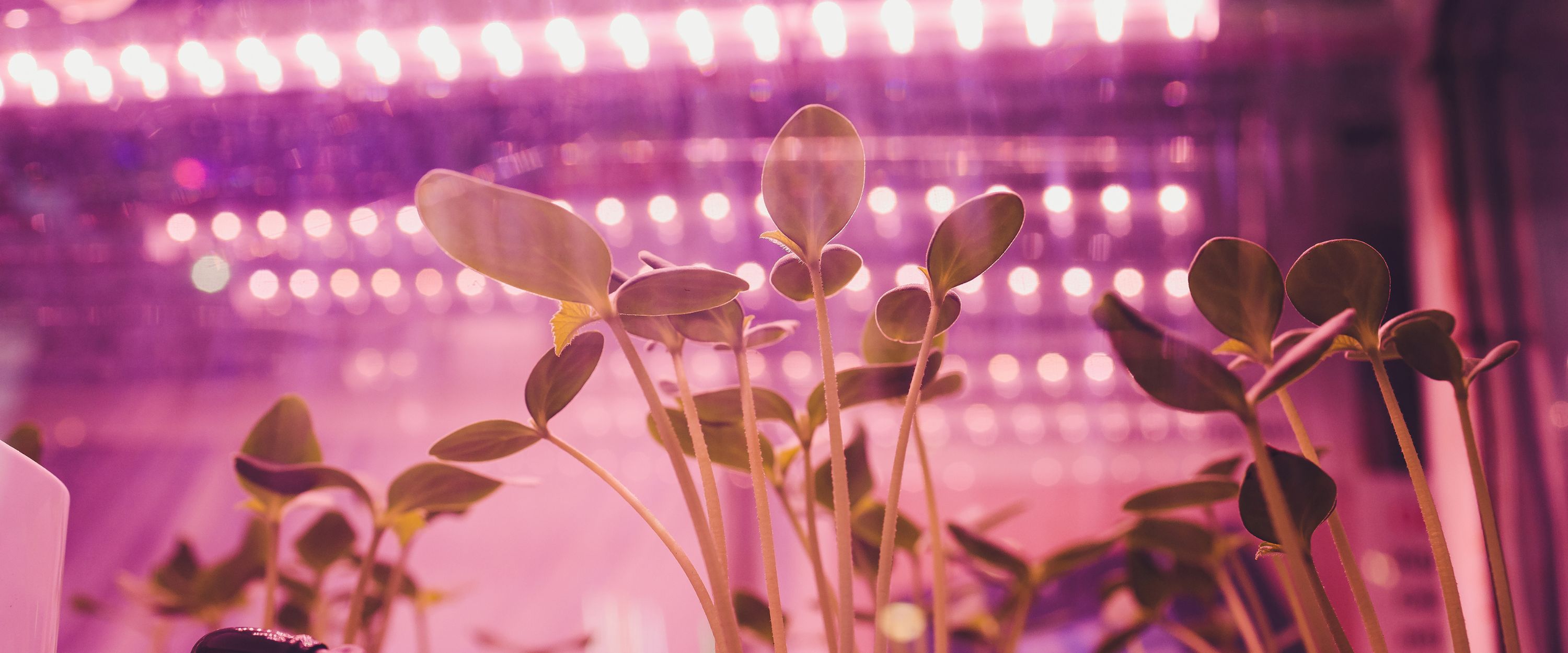 植物育成ライト専門店BARREL公式サイト