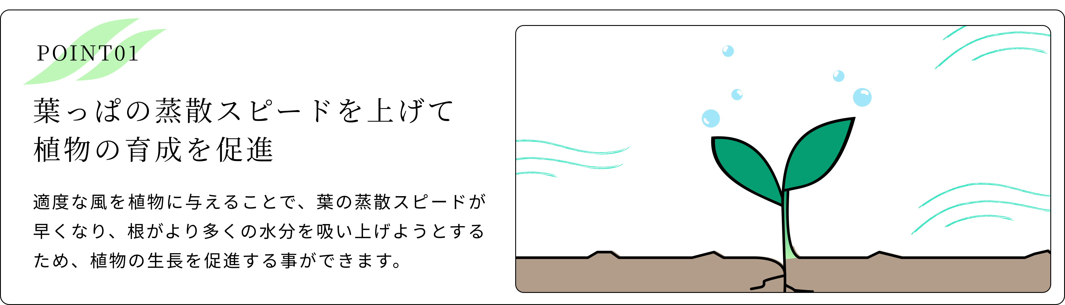 葉っぱの蒸散スピードを上げて植物の育成を促進