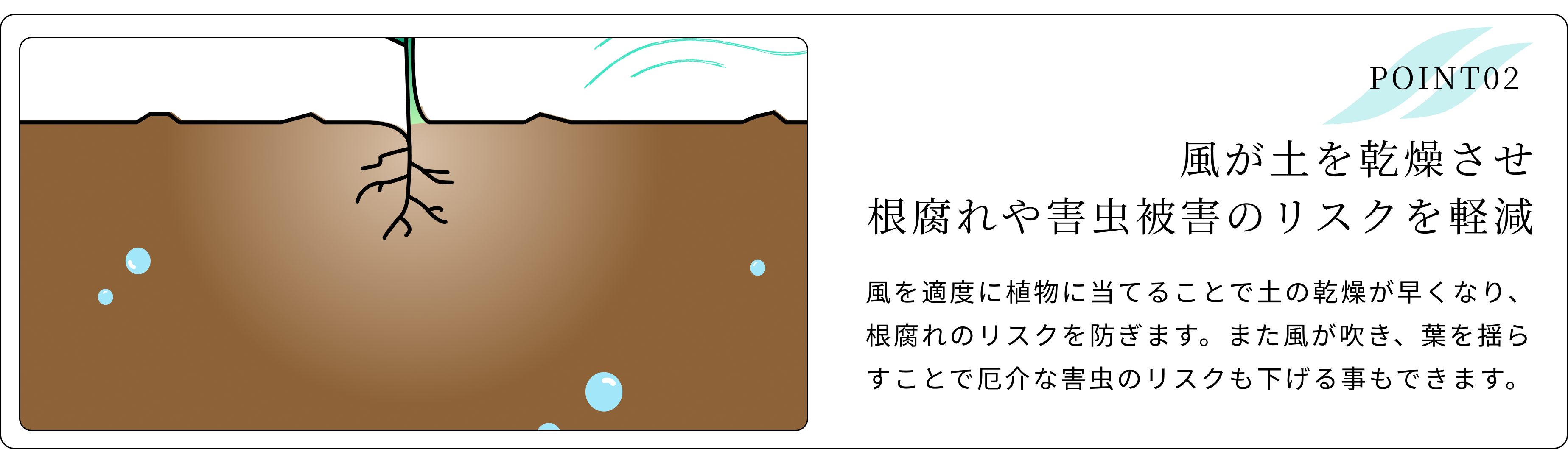 風が土を乾燥させ根腐れや害虫被害のリスクを軽減
