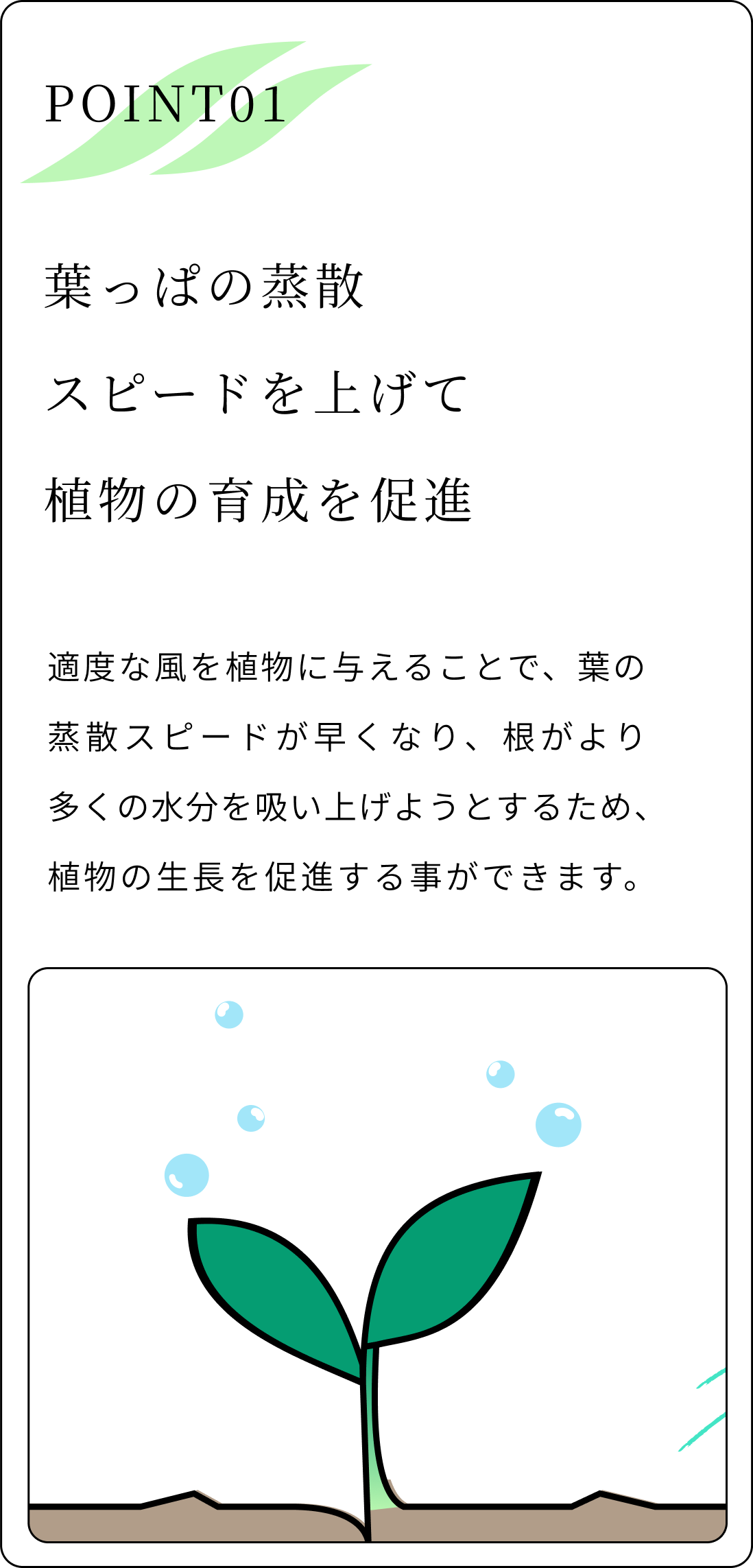 葉っぱの蒸散スピードを上げて植物の育成を促進