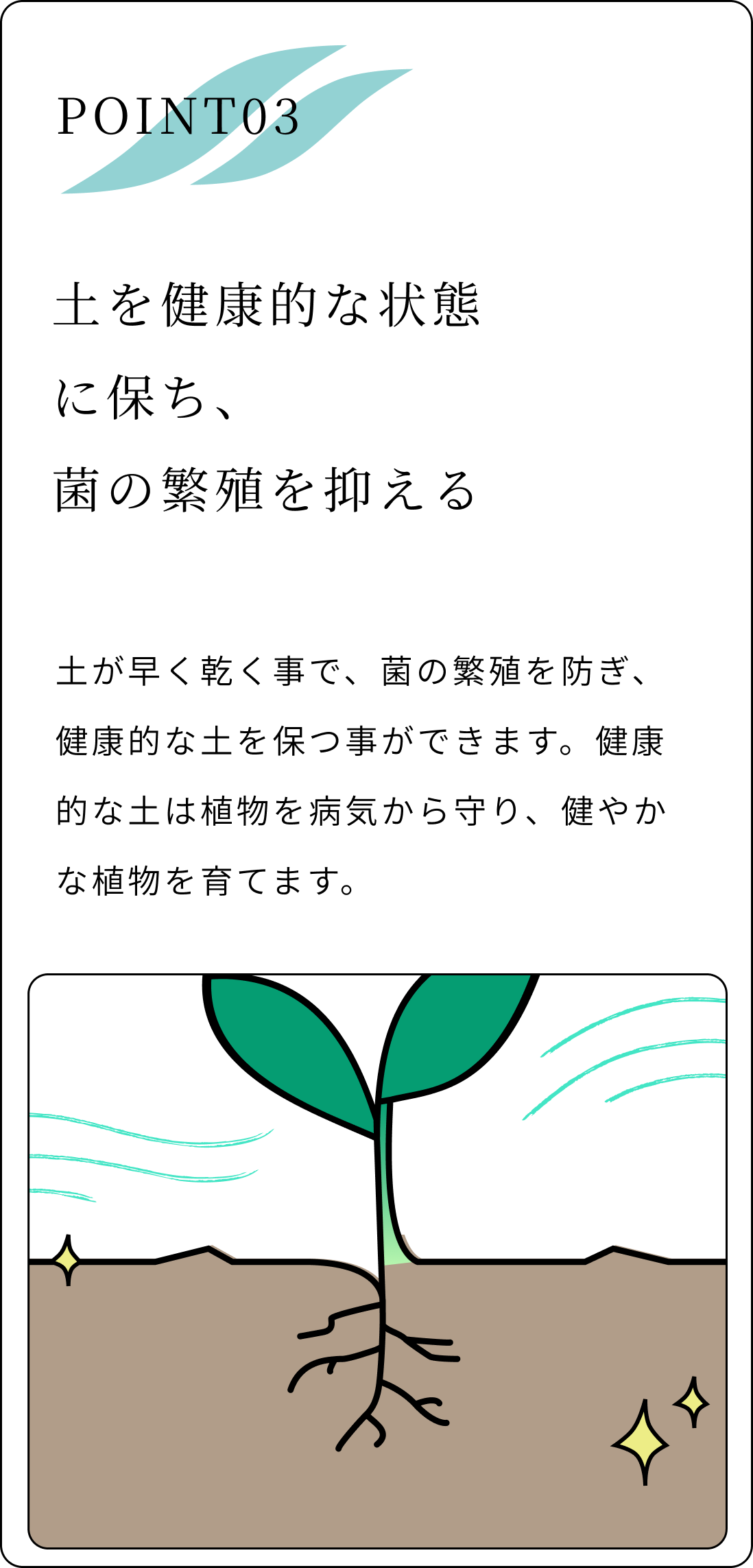 土を健康的な状態に保ち菌の繁殖を抑える