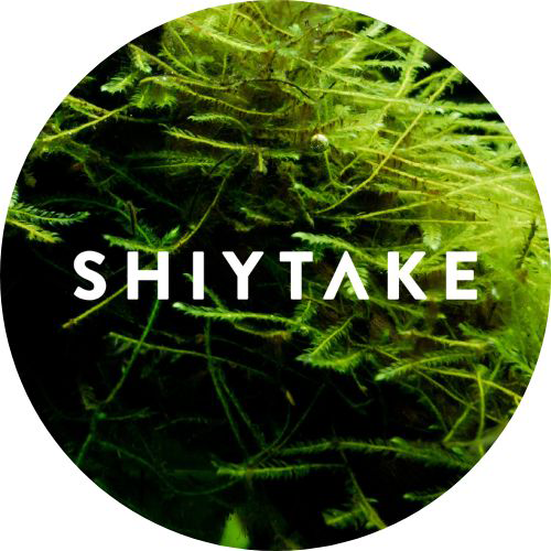 シータケ様