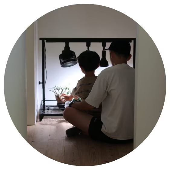 Nの家様