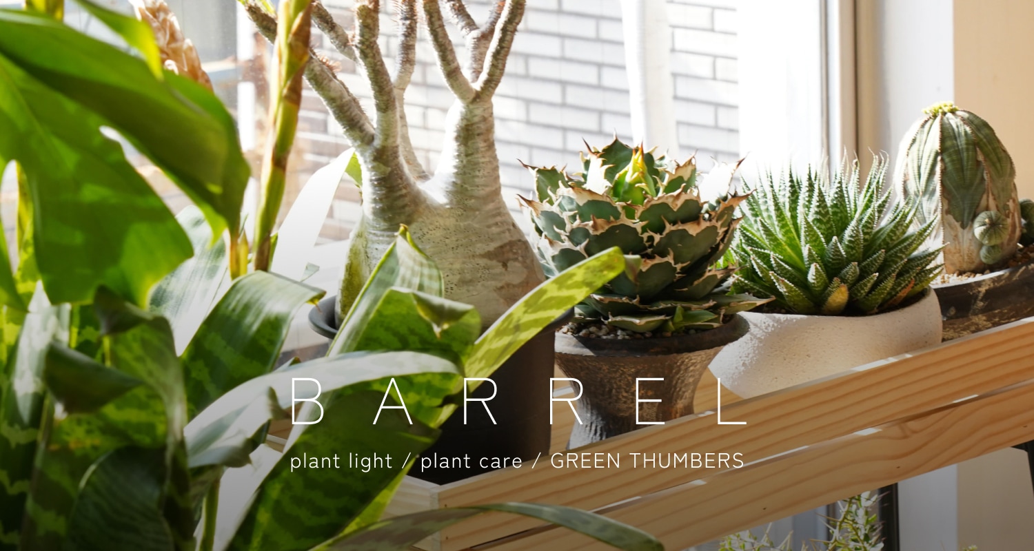 植物育成ライト専門店BARREL公式サイト