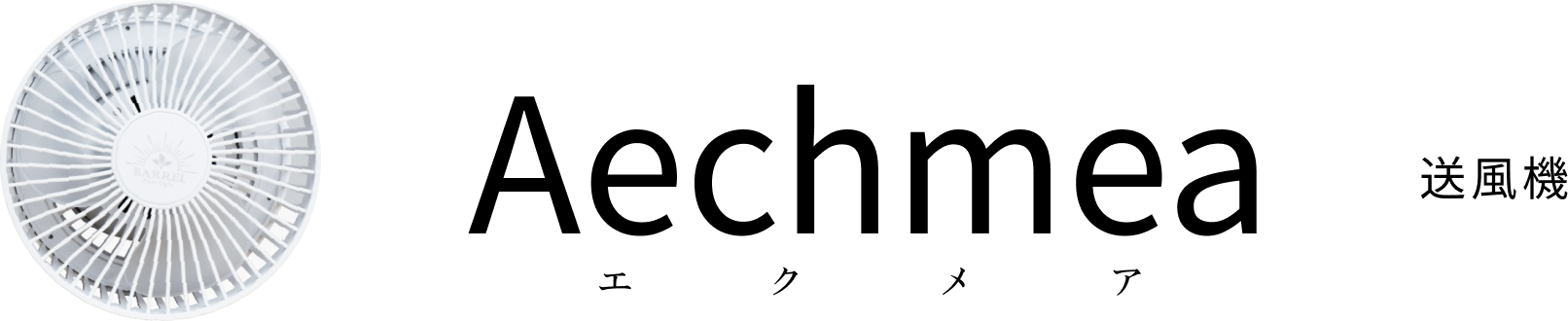 Aechmea ������