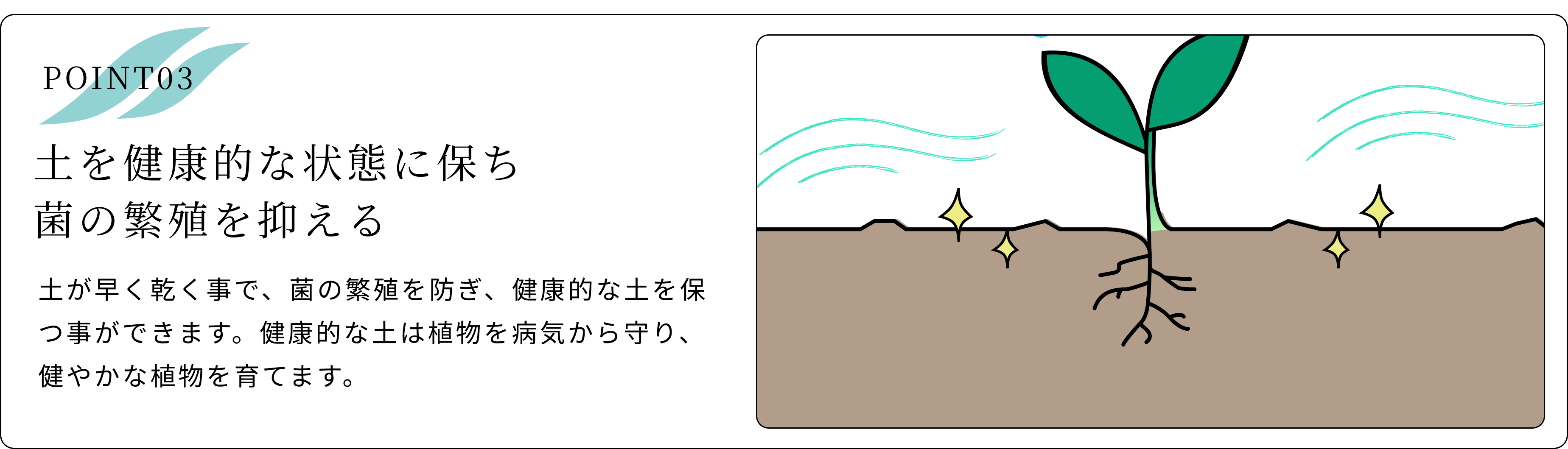 �ڤ��Ū�ʾ��֤��ݤ��ݤ��˿����ޤ���