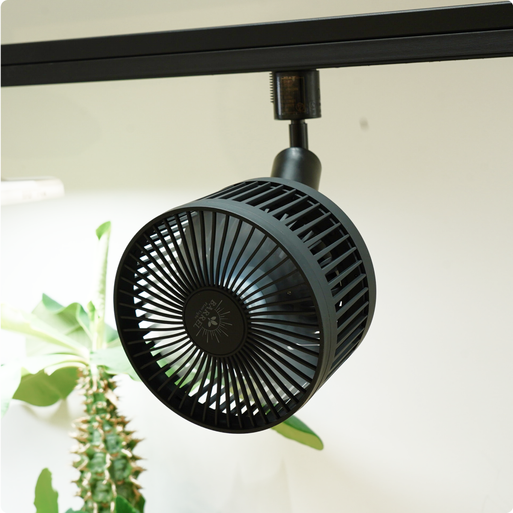 HASU38 spec9 6K×2、Aechmea move、ソケット×4 Recommended] Review of