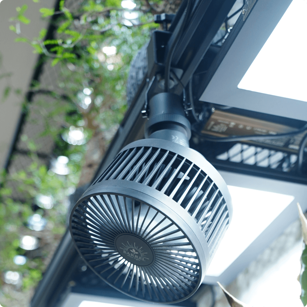 HASU38 spec9 6K×2、Aechmea move、ソケット×4 Amazon.co.jp