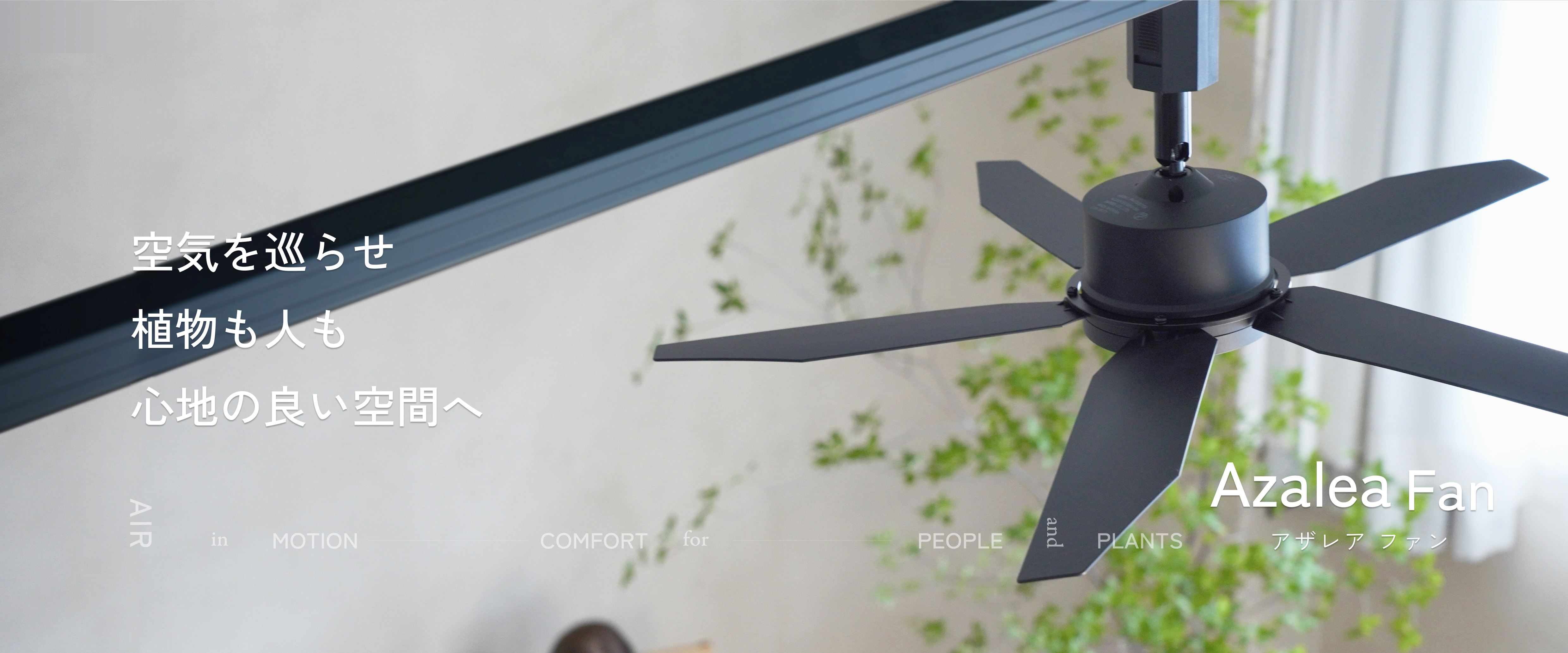 Azalea Fan