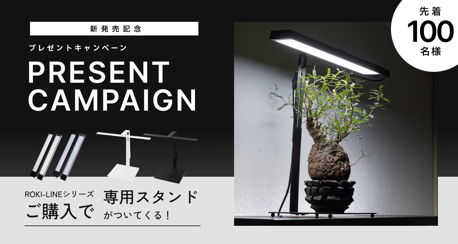 roki-line_cam
