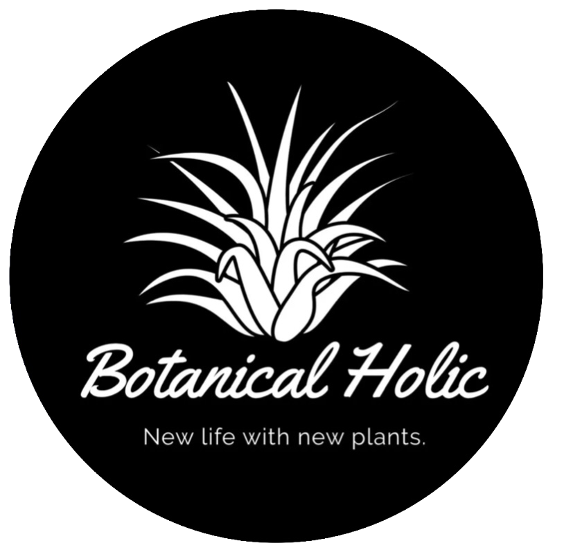 Botanical Holic ��