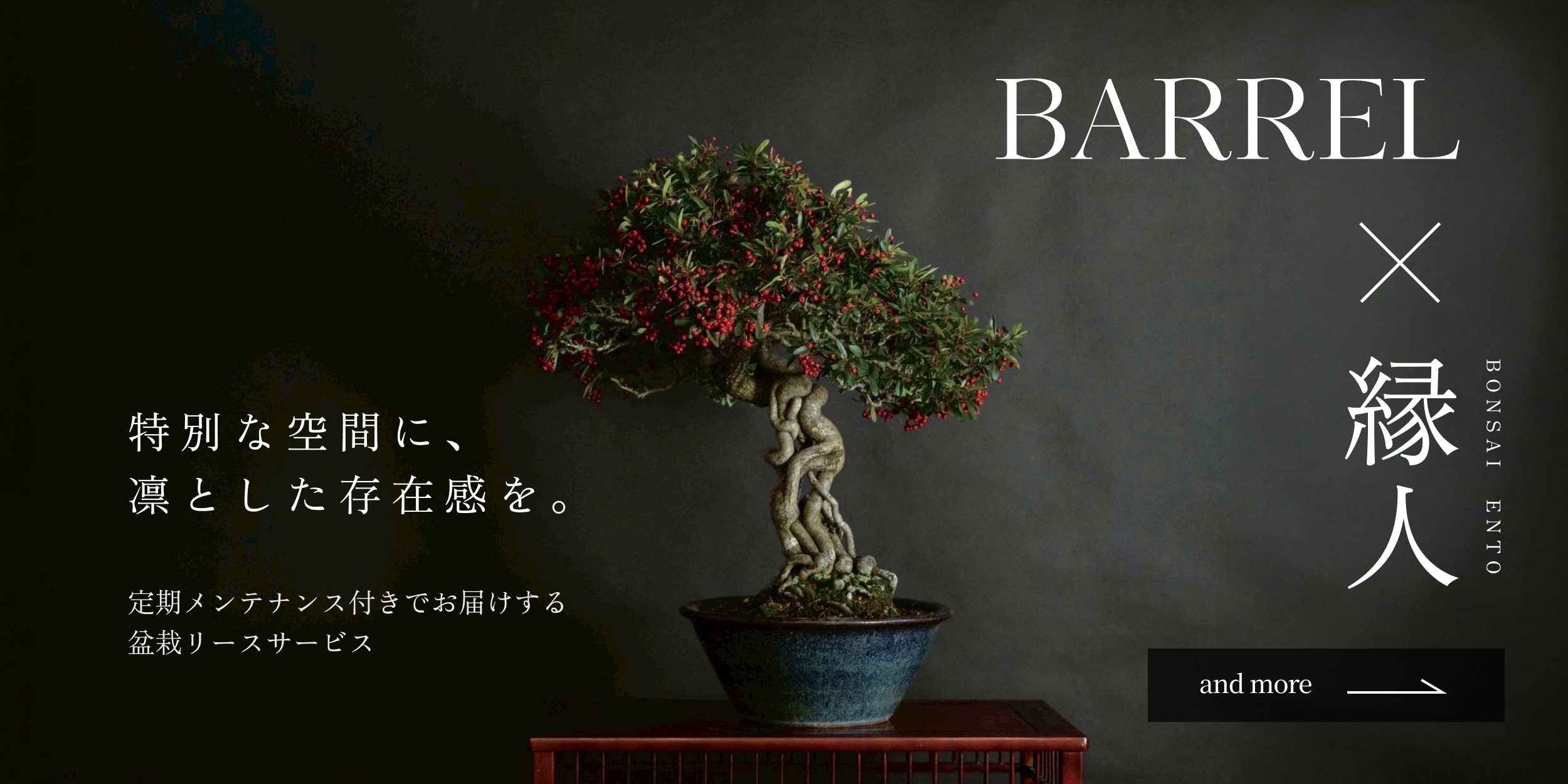 BONSAI ENTO