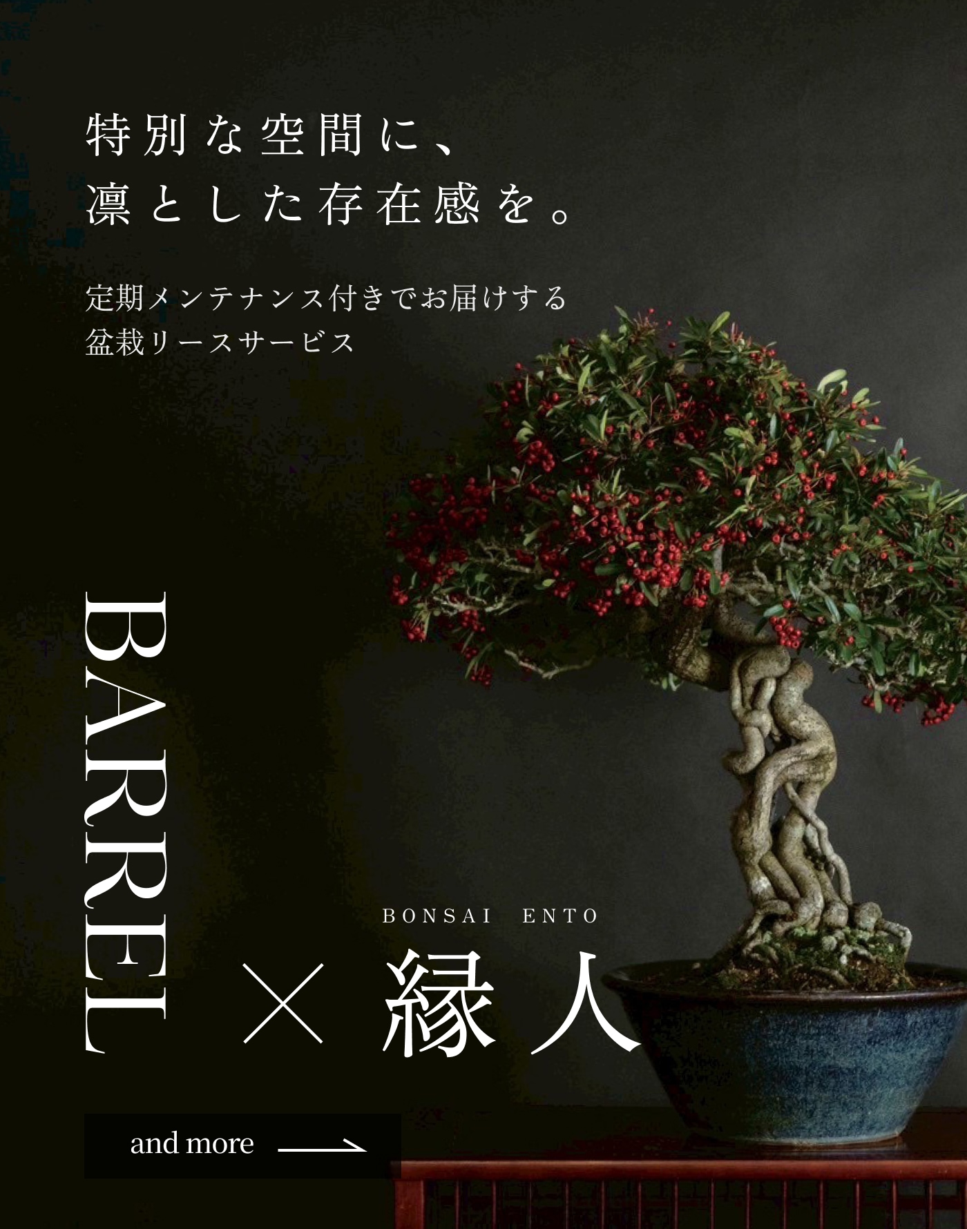 BONSAI ENTO