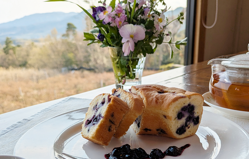 紀伊國屋の焼き菓子