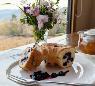 紀伊國屋の焼き菓子
