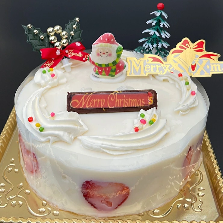 クリスマスケーキ 5号 大阪 ヨーグルト 15cm ヨーグルトケーキ 21 予約 クリスマス ケーキ お取り寄せ 子供 人気 サンタ 飾り 冷凍 ギフト サイズ プレゼント スイーツ お菓子 フルーツケーキ クリスマスケーキ 誕生日バースデーケーキ宅配 cスイーツ