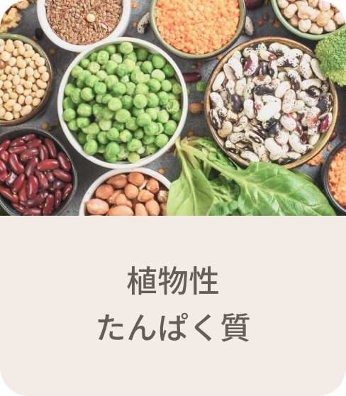 植物性たんぱく質