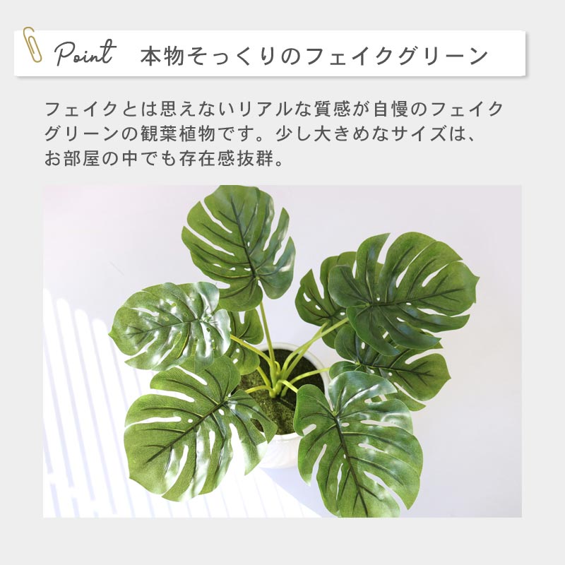 インテリアプランツ MK POT　イメージ