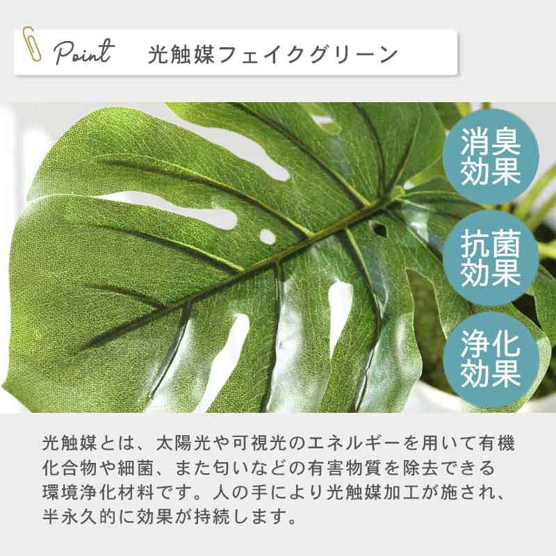 インテリアプランツ MK POT　イメージ