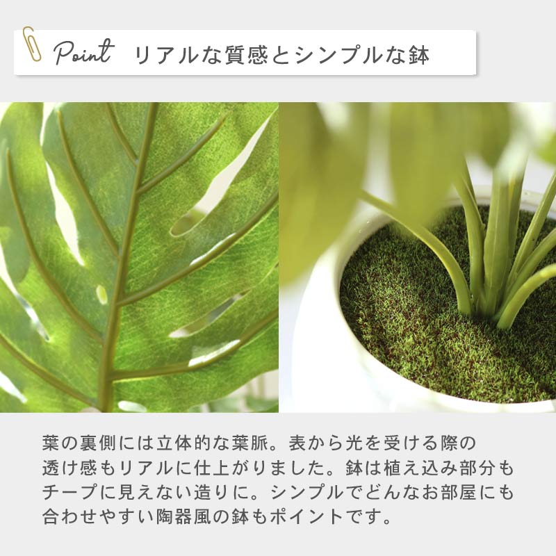 インテリアプランツ MK POT　イメージ