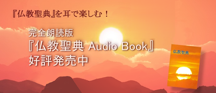 中国語（簡体字）仏教聖典/仏教伝道協会/仏教伝道協会