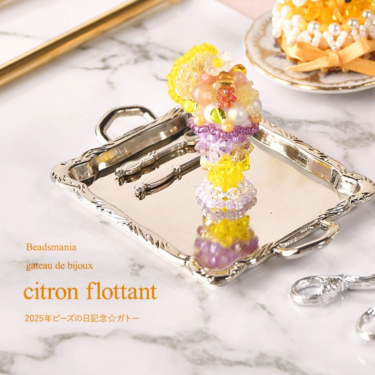 ¥·¥È¥í¥ó¡¦¥Õ¥í¥¿¥ó