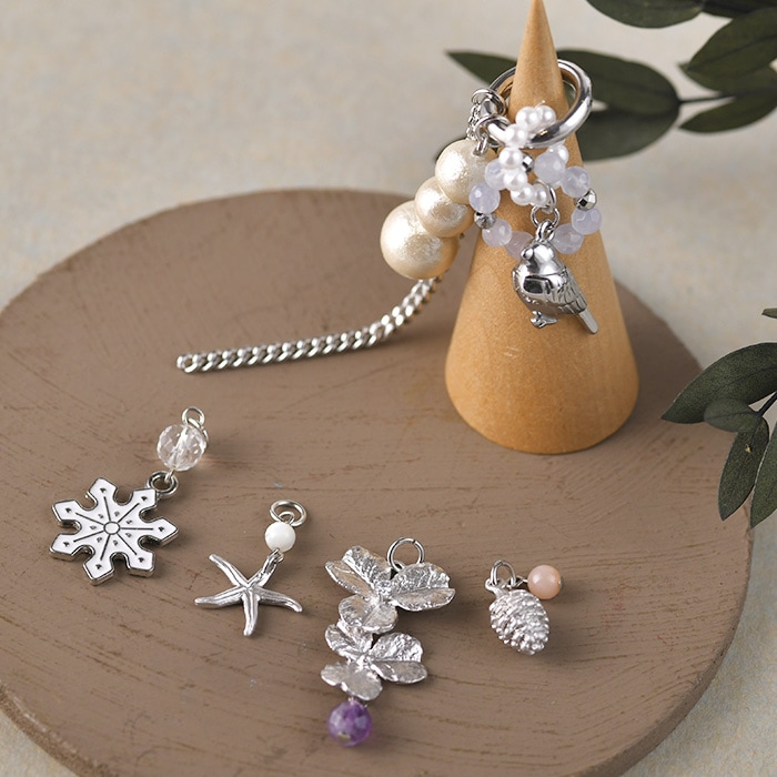 ŷ���ФȾ�Ļ�Υ��㡼�ࡦ�֥롼���륻�ɥˡ�